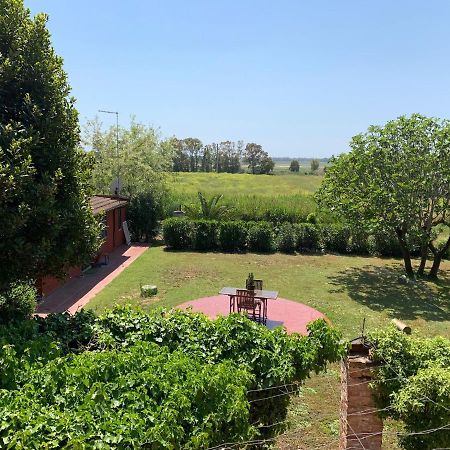 Casale Degli Ulivi Maccarese Βίλα Le Cerquete Εξωτερικό φωτογραφία