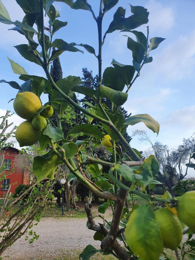 Casale Degli Ulivi Maccarese Βίλα Le Cerquete Εξωτερικό φωτογραφία