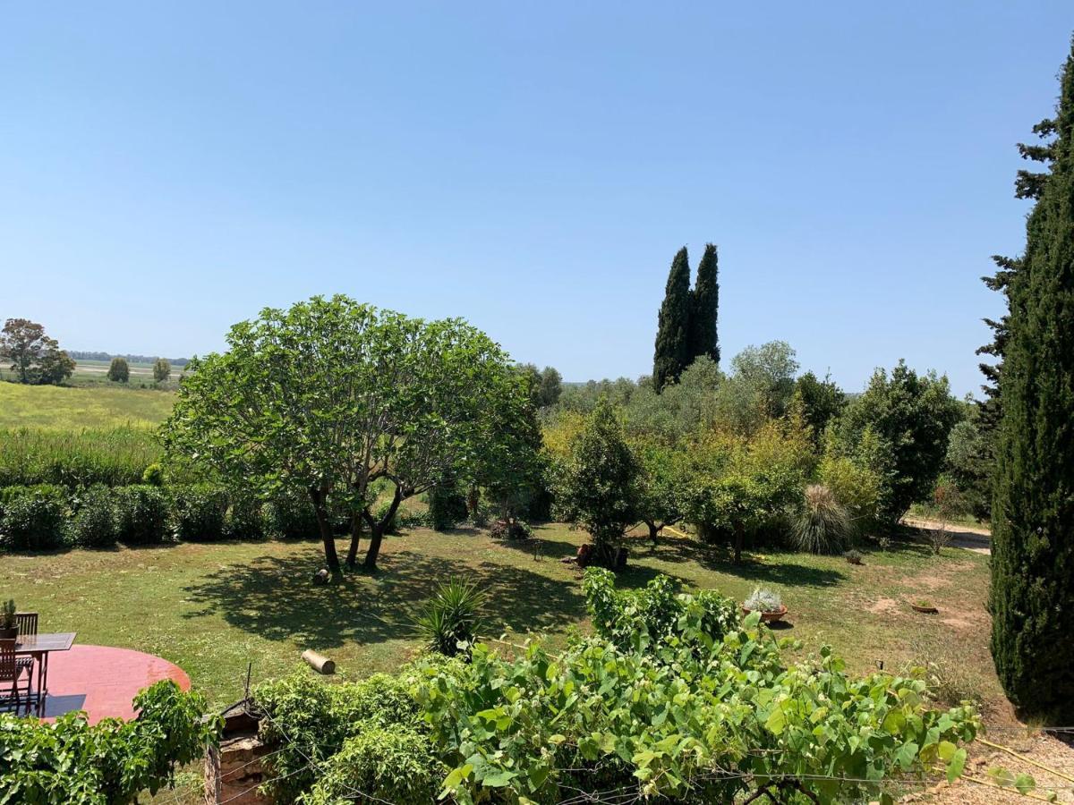 Casale Degli Ulivi Maccarese Βίλα Le Cerquete Εξωτερικό φωτογραφία
