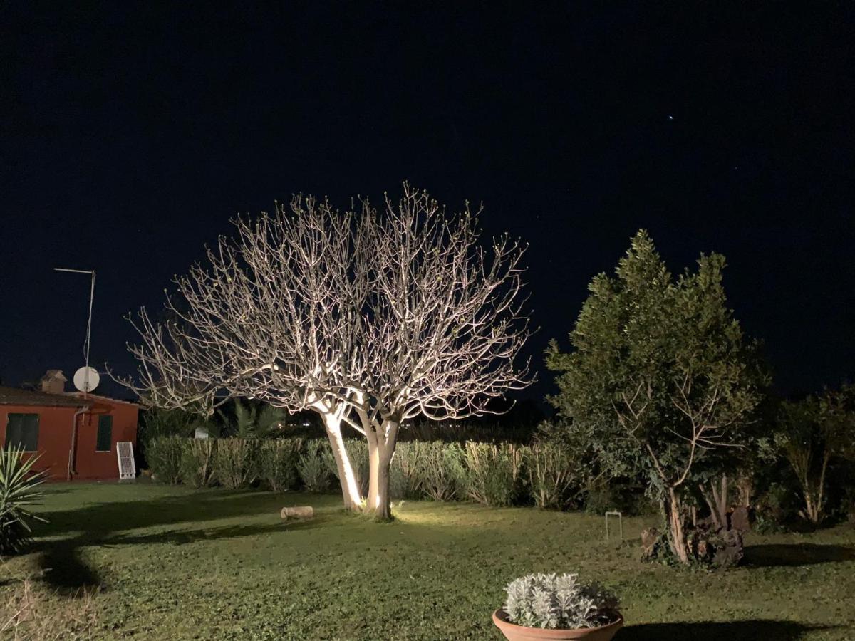 Casale Degli Ulivi Maccarese Βίλα Le Cerquete Εξωτερικό φωτογραφία