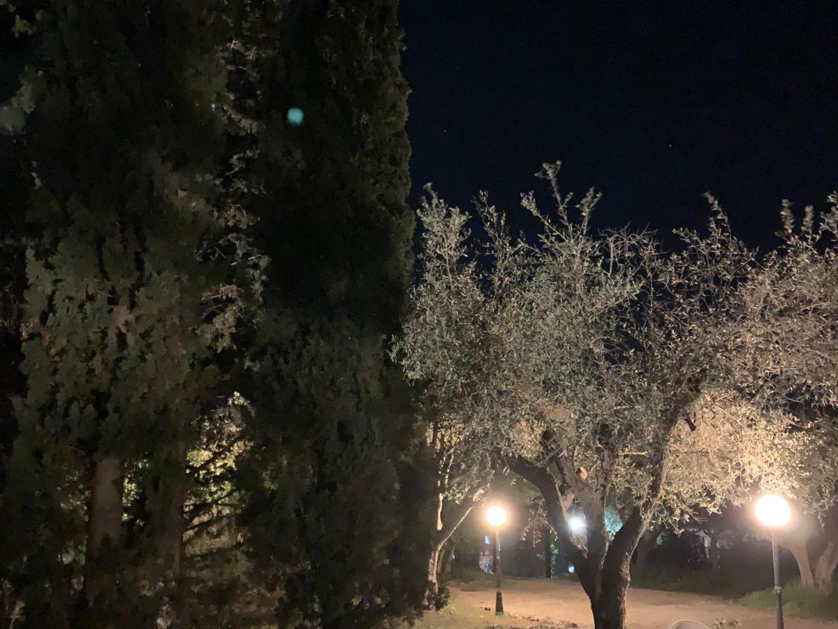 Casale Degli Ulivi Maccarese Βίλα Le Cerquete Εξωτερικό φωτογραφία