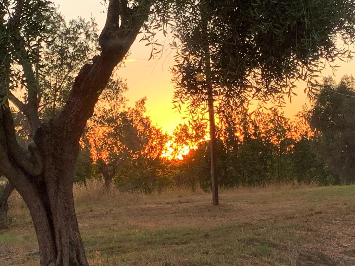 Casale Degli Ulivi Maccarese Βίλα Le Cerquete Εξωτερικό φωτογραφία