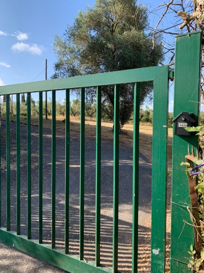 Casale Degli Ulivi Maccarese Βίλα Le Cerquete Εξωτερικό φωτογραφία