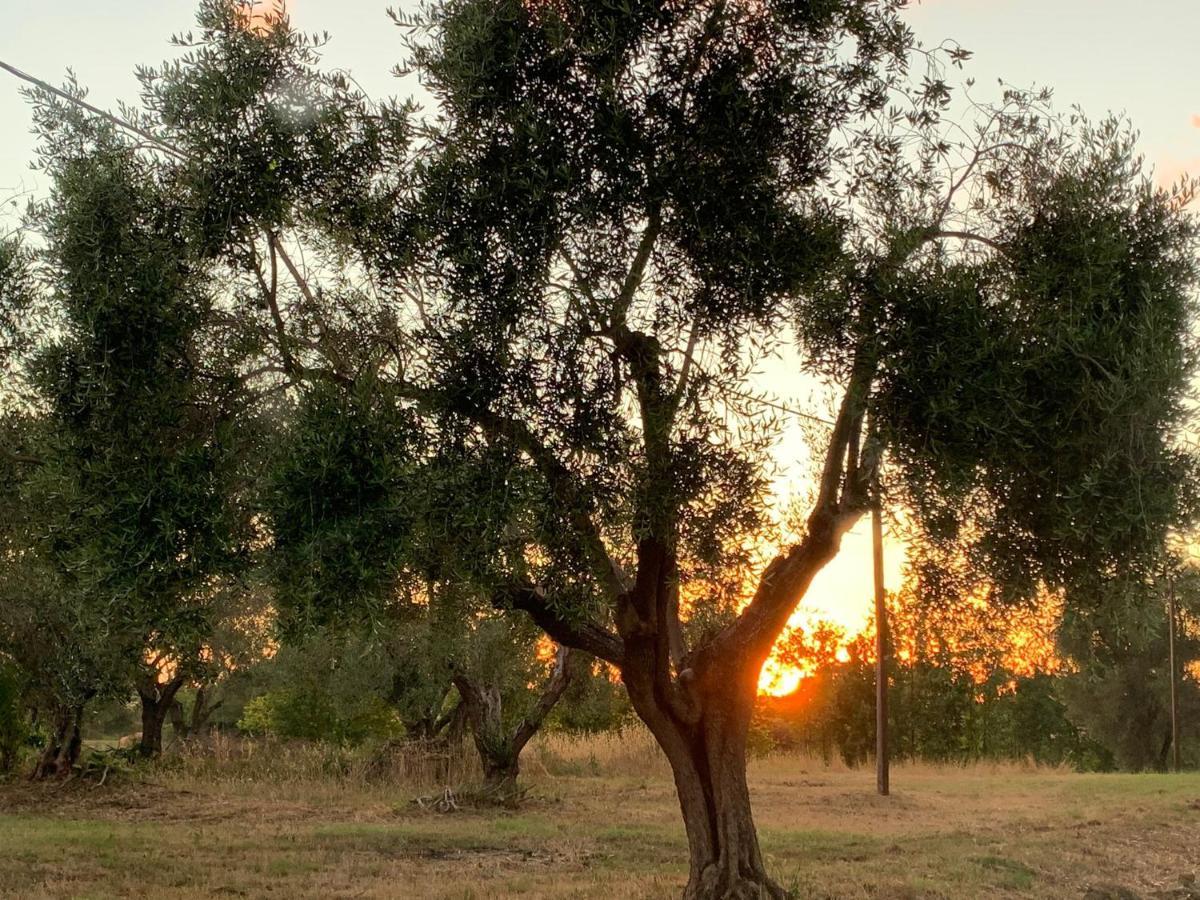 Casale Degli Ulivi Maccarese Βίλα Le Cerquete Εξωτερικό φωτογραφία