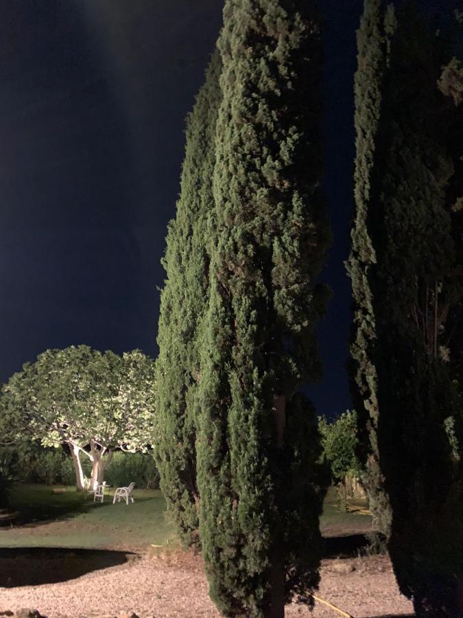 Casale Degli Ulivi Maccarese Βίλα Le Cerquete Εξωτερικό φωτογραφία